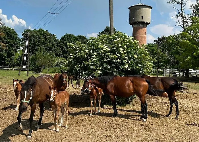 Helikon Apartman * Keszthely
