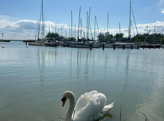 Helikon Apartman Apartment *