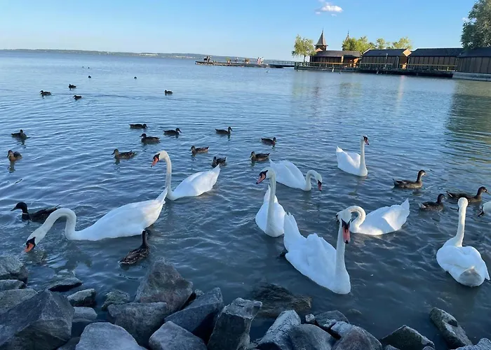 Helikon Apartman Apartment Keszthely